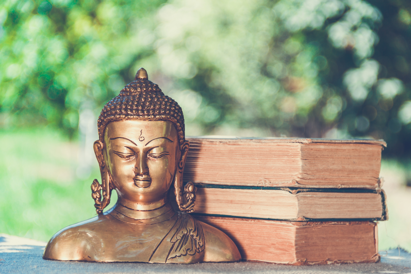 Hãy cùng chúng tôi bước vào thế giới của Đức Phật qua 5 cuốn sách này, và khám phá những bài học, triết lý sâu sắc mà chúng mang lại.