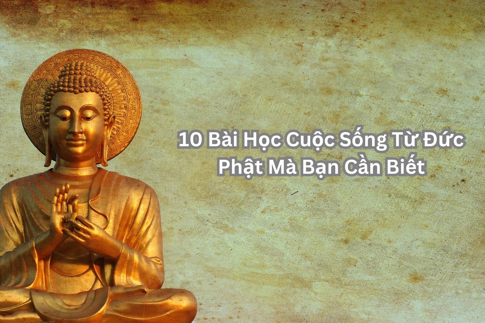 10 bài học cuộc sống từ Đức Phật mà mọi người có thể áp dụng vào cuộc sống hàng ngày của mình: