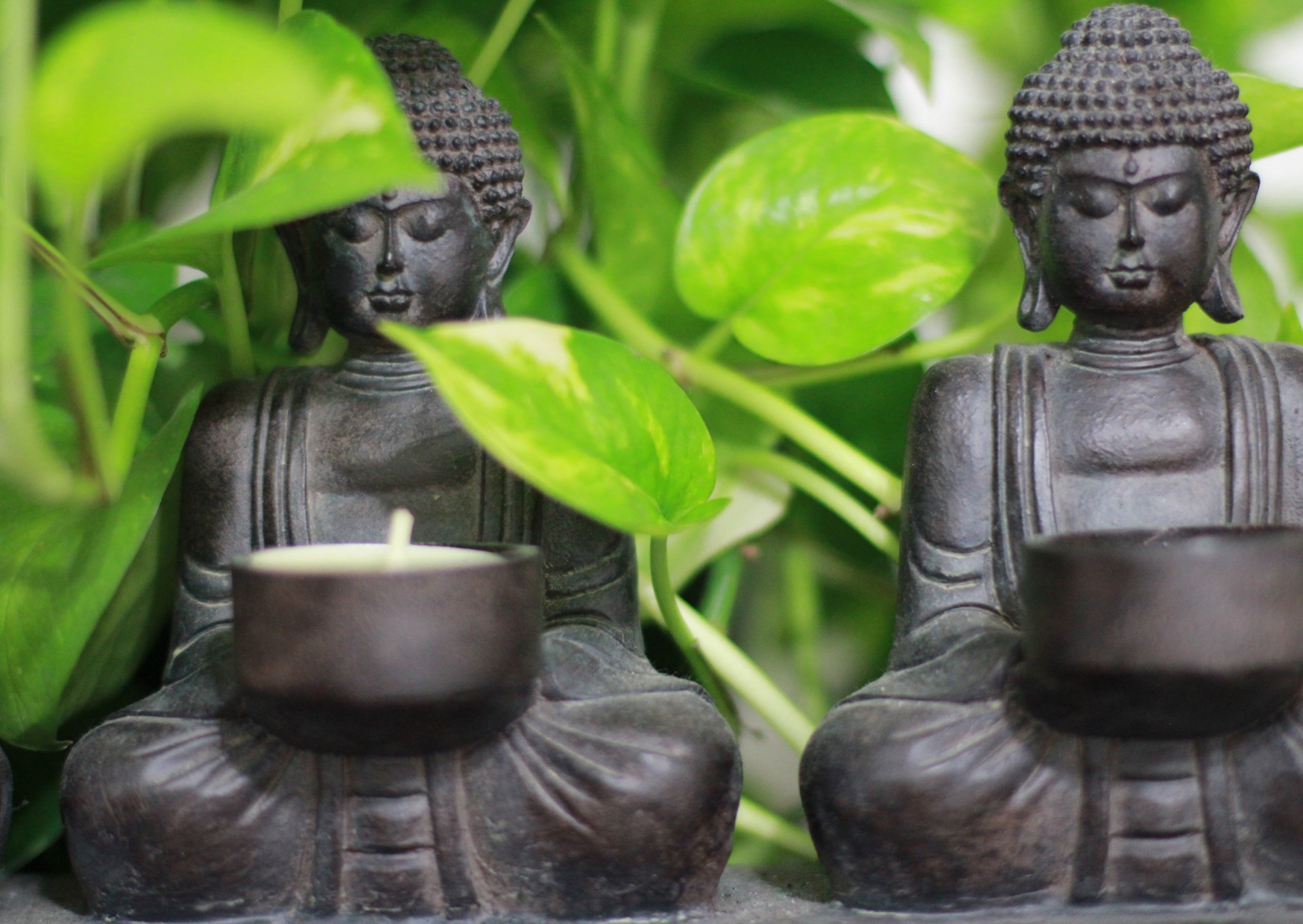 Hãy thực hành lòng nhân ái, lòng từ bi và lòng biết ơn của Đức Phật trong cuộc sống hàng ngày để mang lại hạnh phúc và an lạc cho mọi người xung quanh.
